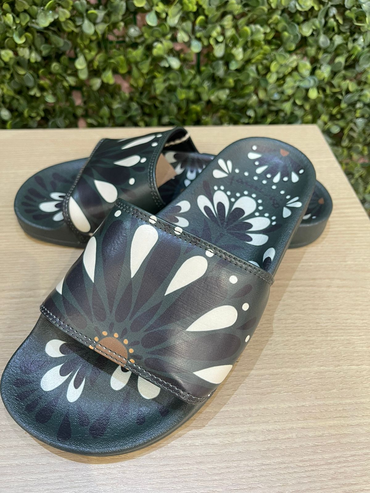 579f2d00256454b068ab7c81b725b3fc.jpg Praiana Est Florejo Farm - Imagem 2