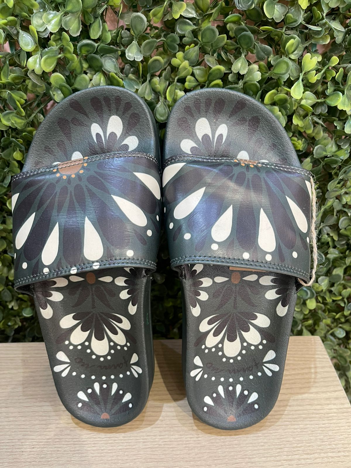 8e1891523efd09fa98ce8e876940c1de.jpg Praiana Est Florejo Farm - Imagem 1