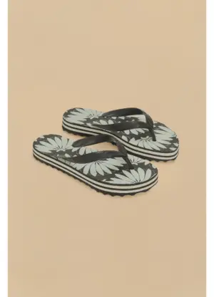 Chinelo Farm Rainbow Copacabana