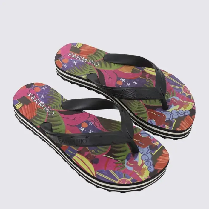 Chinelo Farm Rainbow Estampa Fantasia