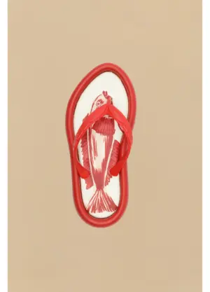 Chinelo Canoa Estampa Peixe - Imagem 2